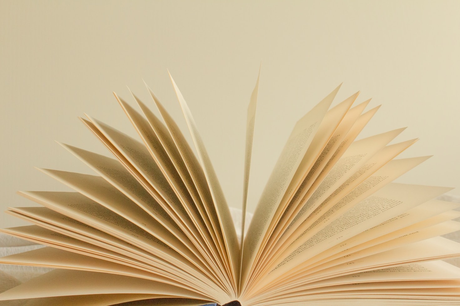 Top Writing Tools for Aspiring Fantasy Authors